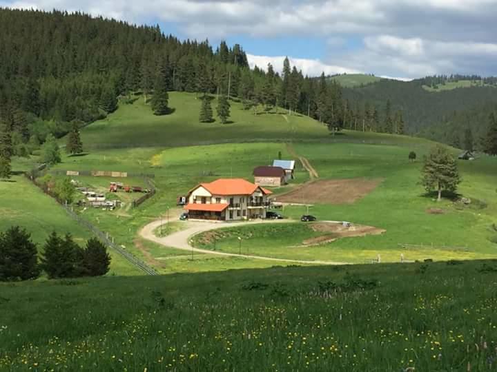 Moldova Sulita Pensiunea Catalina מראה חיצוני תמונה