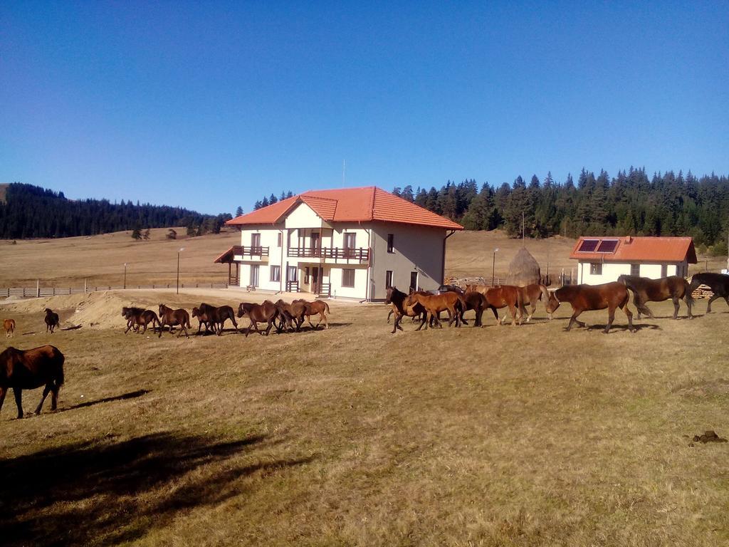 Moldova Sulita Pensiunea Catalina מראה חיצוני תמונה